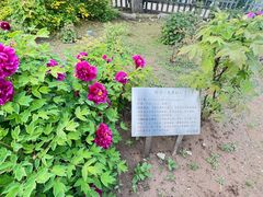 -丰台花园