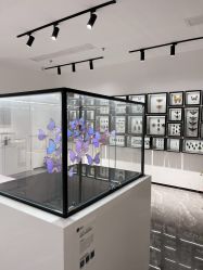 -酷嗒动物文化乐园(cutezoo西溪乐天城店)