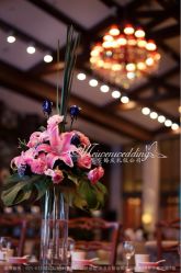 iphone_upload_pic-苏宁环球套房饭店·宴会厅