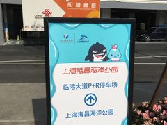 -上海海昌海洋公园-停车场