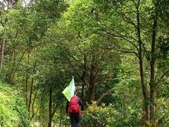 -广州白江湖森林公园