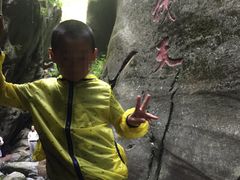 -黑河国家森林公园