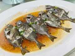 -喜相逢海鲜美食城(五邑平价农副产品批发市场店)