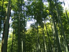 -山沟沟景区