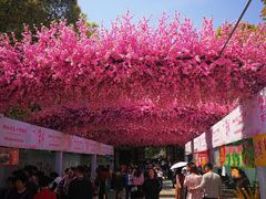 -南汇桃花村