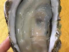 -蚝专家(北滘店)