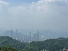 -大金鹰园