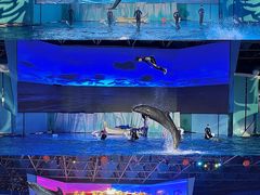 -海合安青岛极地海洋公园