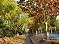 -永定河休闲森林公园