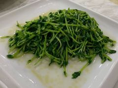 清炒豌豆苗-聚丰园•湖鲜餐厅(阿红私房菜梅石路店)