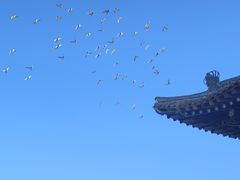 -丹噶尔古城