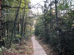 -塔川景区
