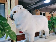 -九府羊鲜羊火锅·烧烤(海那城店)