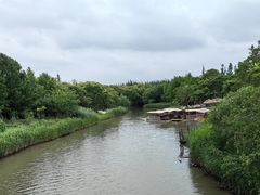 -上海长兴岛郊野公园