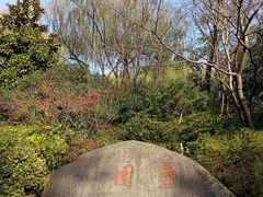 -墅园