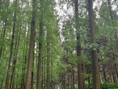 -上海怡沁园度假酒店