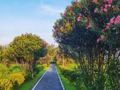 -洋湖国家湿地公园