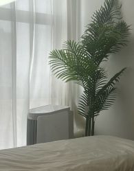 -张小野·专业半永久纹眉