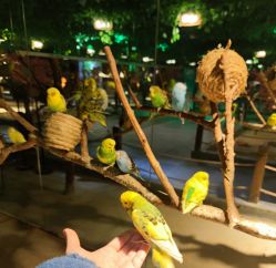 -酷嗒动物文化乐园(cutezoo西溪乐天城店)