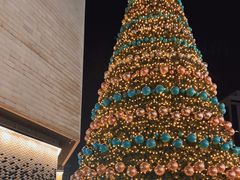 -Tiffany & Co.蒂芙尼
(南京德基广场店)