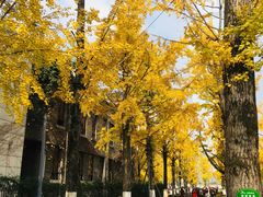 -两江幸福广场