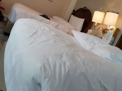 -广州富力丽思卡尔顿酒店