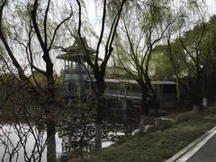 桃花岛-金鸡湖桃花岛