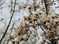 -微软亚太研发集团大厦(微软总部)