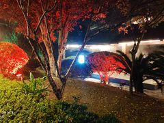 -嘉兴清池酒店温泉