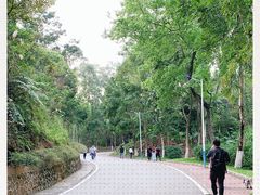 -火炉山森林公园