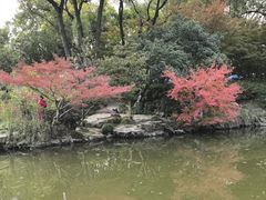 -汇龙潭