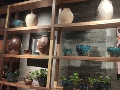 -雀舞云南菜(天津天河城购物中心店)