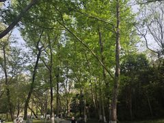 -采石矶景区