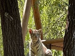-北京野生动物园