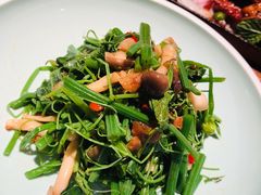 丝瓜尖拌菌菇-中8楼风尚云南菜(颐堤港店)