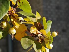 -北京邮电会议中心