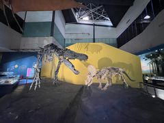 -湖南省地质博物馆