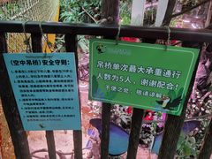 -正佳雨林生态植物园