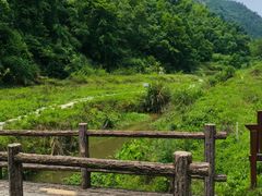 -长沙黑麋峰国家森林公园