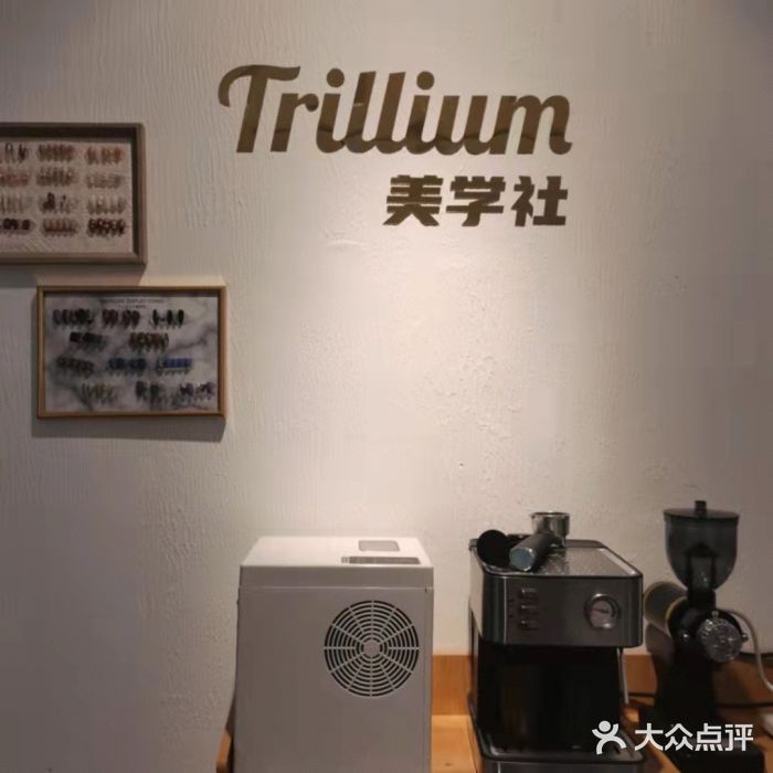 Trillium延龄草美学图片