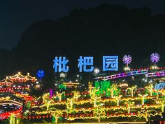 -枇杷园食为鲜火锅(南山店)