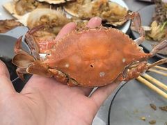 -仙螺岛海鲜自助餐厅(总店)