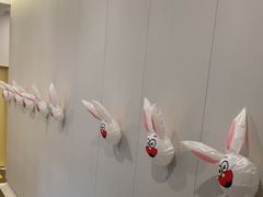 -兔博士口腔(高新一路门诊部)