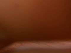 -合肥野生动物园