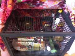 -雨林宠物医院 非犬猫异宠专科