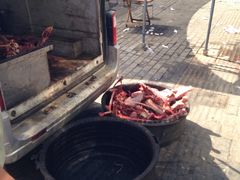 -化三驴肉汤馆(小南门店)