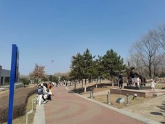 -莫子山·云中食街