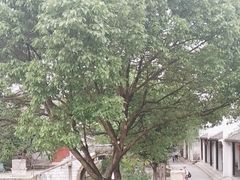 -黎里古镇