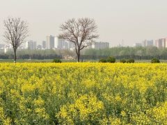 -汉长安城未央宫国家考古遗址公园