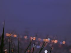 -小南山公园